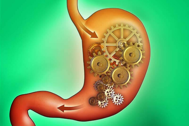 Good digestion