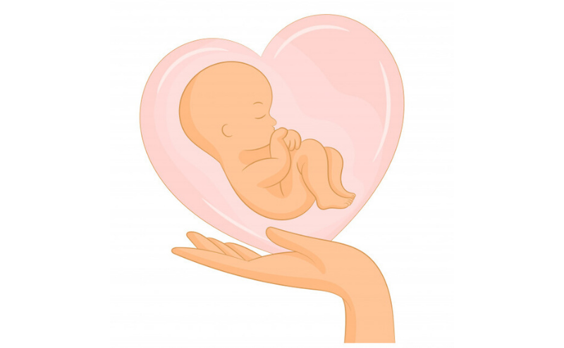 A Recount Of My Experience During The First Early Scan Of Pregnancy