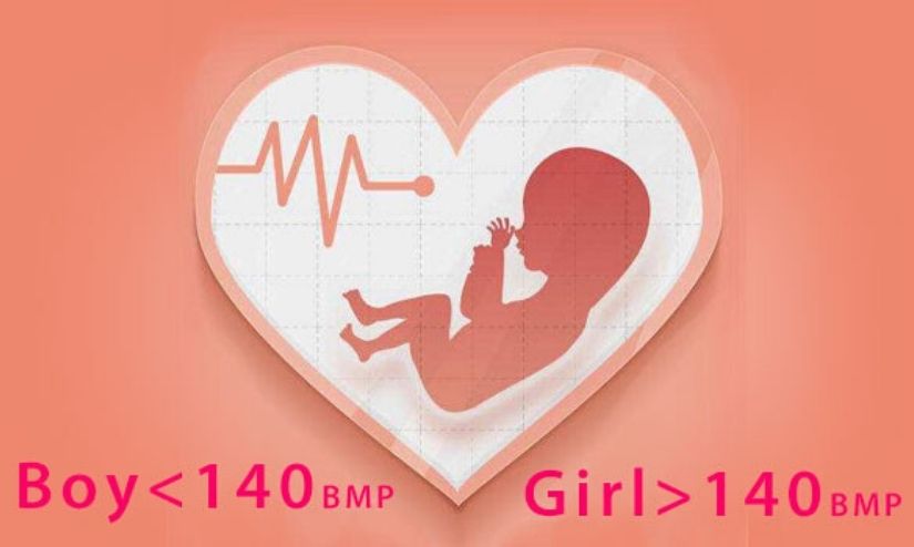 Calculating The Baby’s Heart Rate