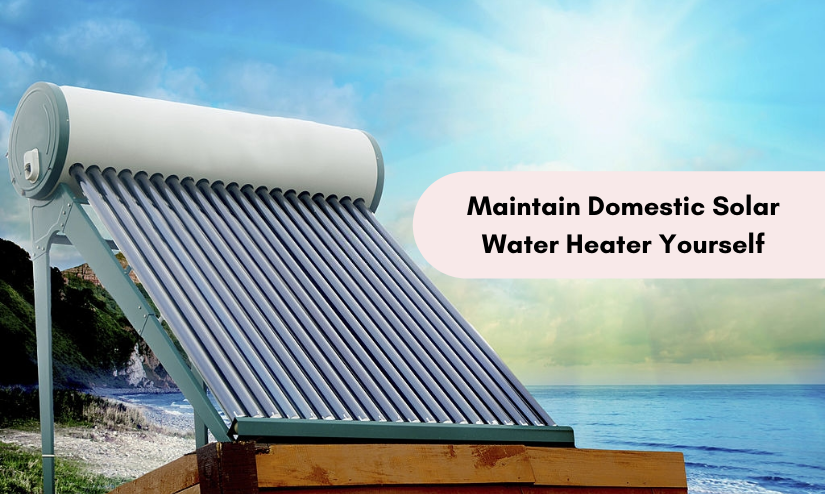 domestic solar water heater