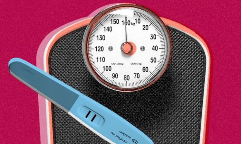 Obesity Affects Natural And Assisted Pregnancies