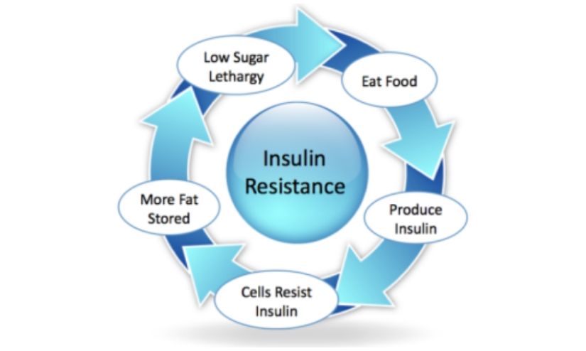 Obesity Can Lead To Insulin Resistance