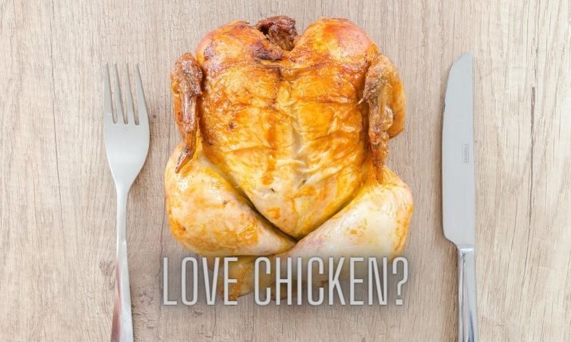 Chicken